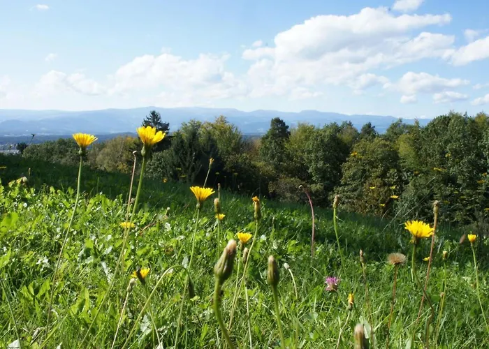 Hébergement de vacances Landloft By Interhome Sausal